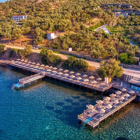 Assos Dionysos Special Class Hotel Adults Only 12 Years Екстериор снимка