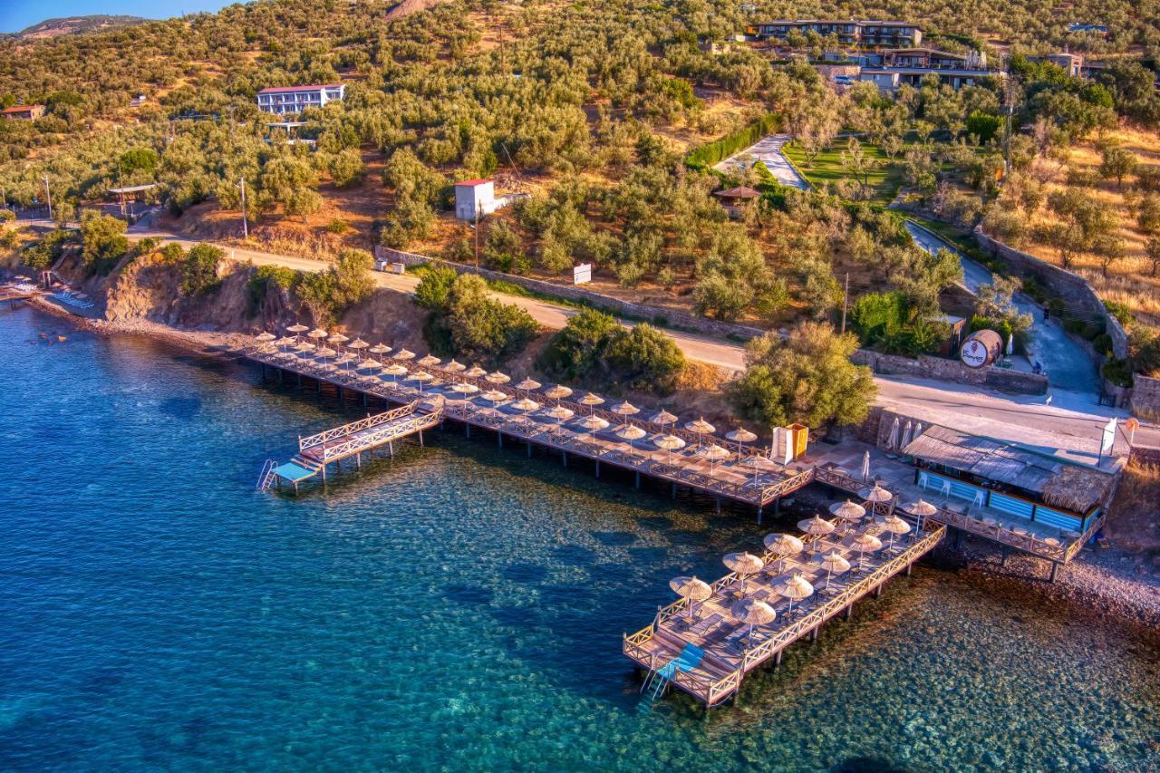 Assos Dionysos Special Class Hotel Adults Only 12 Years Екстериор снимка