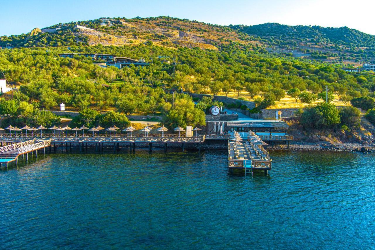 Assos Dionysos Special Class Hotel Adults Only 12 Years Екстериор снимка
